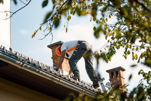 Best Commercial Roof Installation  in Merrillville, IN