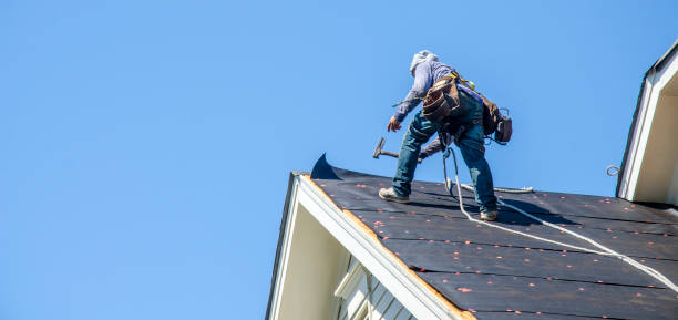 Roof Gutter Cleaning in Merrillville, IN